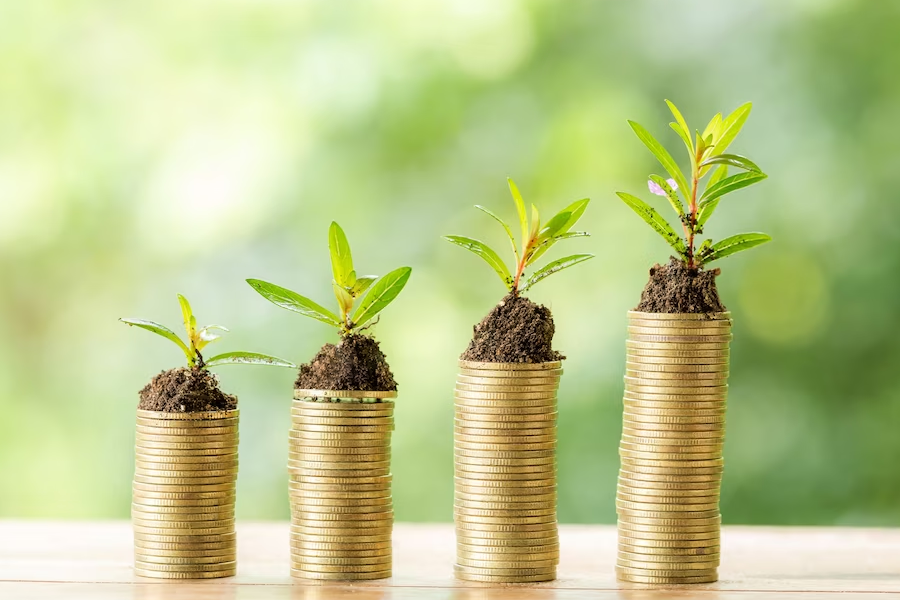 mutual-funds-1